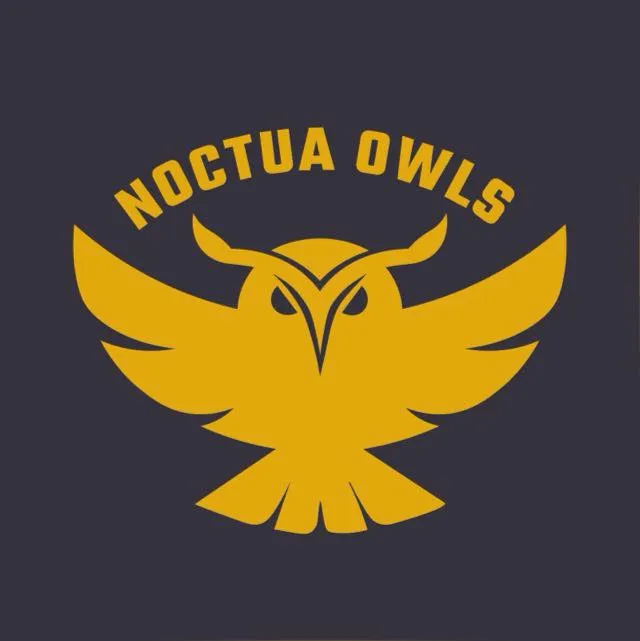 Noctua Owls Gold